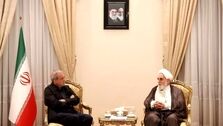 تصویر دیدار مشورتی پزشکیان و ناطق نوری