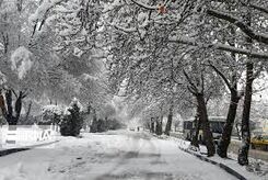 هشدار: یخبندان در راه است | کاهش 20 درجه دما