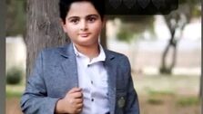 چه کسی دستور شلیک به کیان پیرفلک را صادر کرد؟