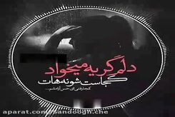 دانلود آهنگ حجت اشرف زاده دلم گریه می‌خواد 