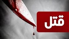 قتل سریالی ۳۳ مرد جوان به دست دلقک قاتل