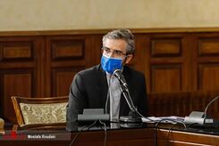 هدف اصلی گفت‌وگوهای وین از زبان باقری