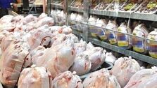مرغ ارزان در راه بازار