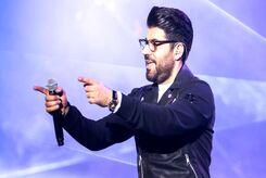دانلود آهنگ حامد همایون دیوونگی