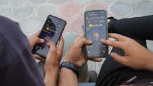 قیمت همستر کامبت در صرافی اعلام شد