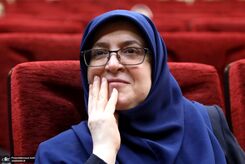 استانداران تهران و قم در دولت مشخص شدند + اسامی
