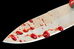 دستگیری قاتل فراری پس از 15 سال / در کوهدشت فاش شد