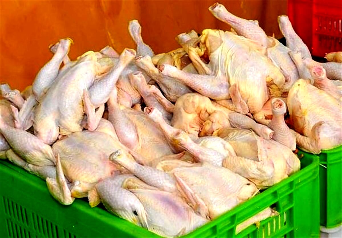 قیمت مرغ دوباره پر کشید +نرخ جدید