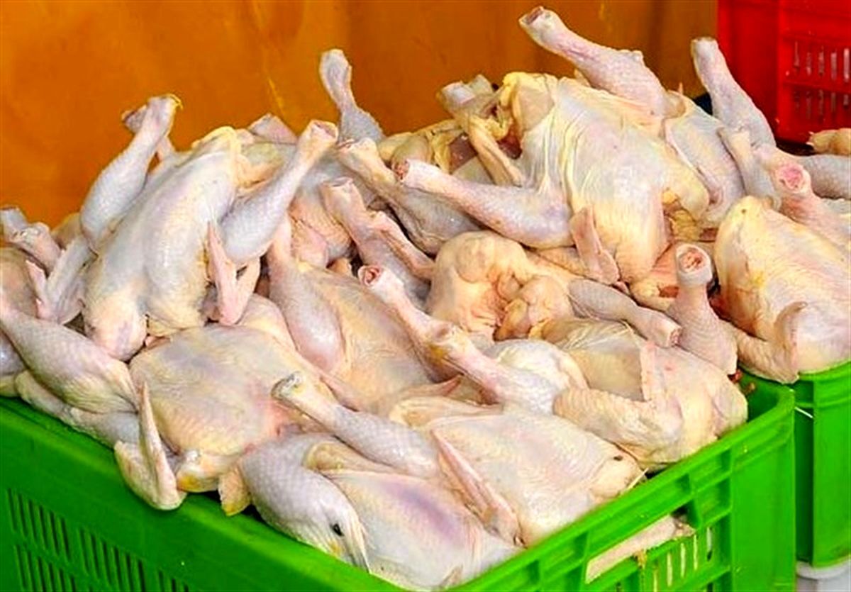 قیمت مرغ آرام گرفت| قیمت مرغ امروز یکشنبه 23 خرداد