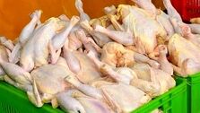 هشدار، دستور جدید اتحادیه مرغداران/قیمت مرغ ارزان شد؟