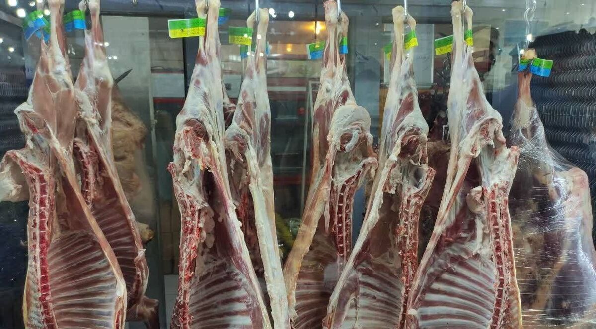 هشدار فوری:تایید ورود ۷۰ تن گوشت فاسد به ایران