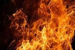 آتش‌سوزی در پارک پردیسان تهران/تلفات جانی هم داشت؟