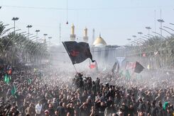 زائران اربعین باید از همان مرزی که خارج شدند، بازگردند؟
