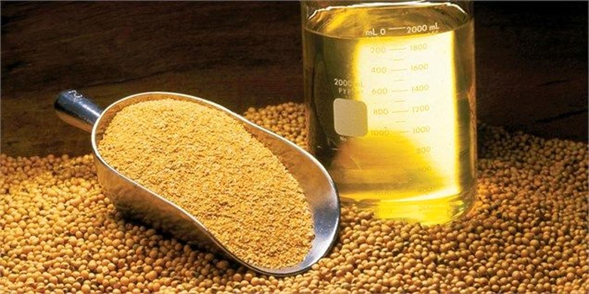 خبر خوش خرید تضمینی برای کشاورزان