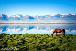 سفر به سرزمین سکاها، قرقیزستان