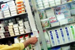افزایش ۲۰ درصدی قیمت لبنیات