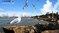 یک سفر کوتاه‌مدت به انزلی