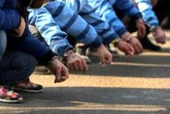 انهدام ۱۳باند ساماندهی مجرمین در شهر ری