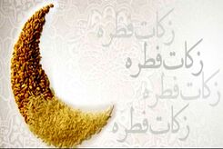 چقدر فطریه بدهیم؟| منظور از قوت غالب برای فطریه چیست؟