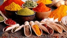 بی‌نظیرترین ادویه هندی با تخفیف ویژه