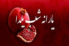 جهت دریافت یارانه شب یلدا کلیک کنید | جاماندگان یارانه شب یلدا این خبر را از دست ندهند