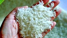 برنج طبیعت هندی است یا ایرانی؟