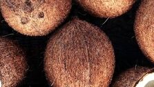 ماجرای نارگیل‌های سمی در اصفهان چیست؟