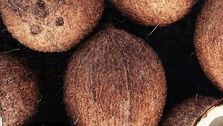 ماجرای نارگیل‌های سمی در اصفهان چیست؟