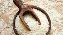 قیمت برنج ایرانی، پاکستانی و هندی اعلام شد | قیمت یک کیلو برنج هاشمی معطر درجه یک چند؟