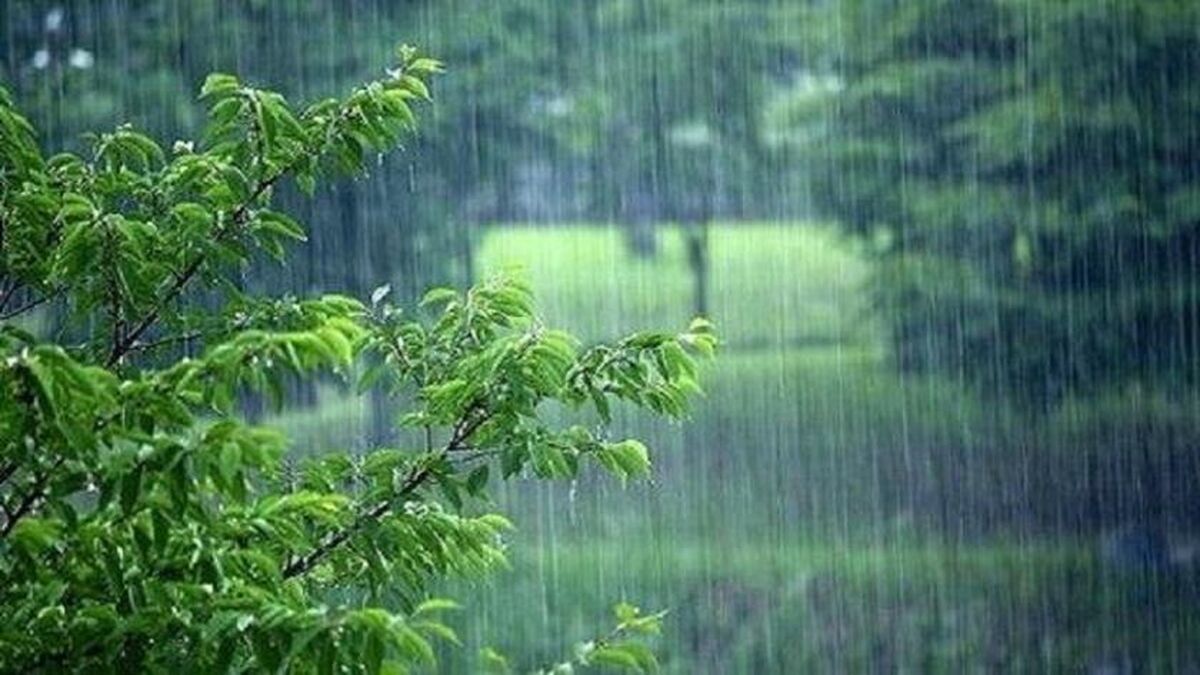 هواشناسی، بارش باران در برخی نقاط کشور/ خلیج فارس و دریای خزر مواج است