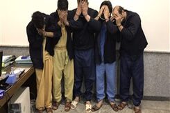 راز گنج نفرین شده در نمایندگی خودروساز معروف/ ۲ نفر از جویندگان گنج جان باختند