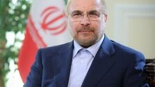 جنجال نصب پوستر تبلیغاتی قالیباف کنار تابلوی سیسمونی + عکس