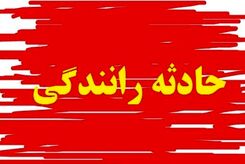 تصاویر دلخراش از اسکلت اجساد سوخته در تصادف و آتش‌سوزی دو خودرو 18+