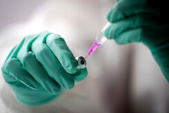 ماجرای واکسن‌های تاریخ مصرف گذشته در اهواز + جزئیات