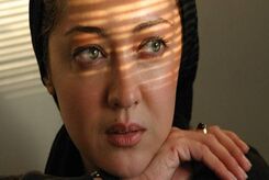 عکس جدید نیکی کریمی در فضای مجازی