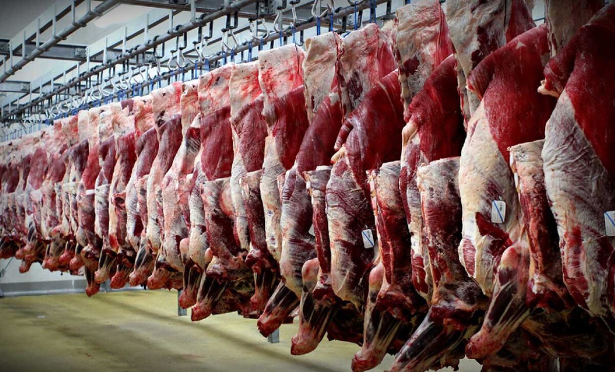 قیمت هر کیلوگرم دام زنده برای عید قربان | قیمت گوشت قرمز ارزان می شود؟