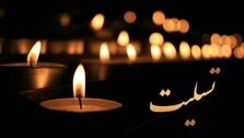 ۳ روز عزای عمومی در کشور اعلام شد