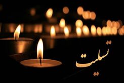 کدام کشورها در همبستگی با ایران عزای عمومی اعلام کردند؟