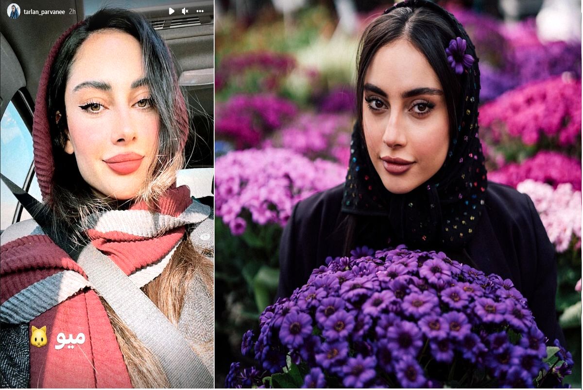 عکس زیبای ترلان پروانه در طبیعت| ببینید