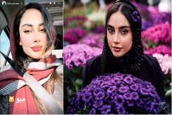 عکس زیبای ترلان پروانه در طبیعت| ببینید