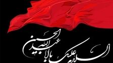 همسر امام حسین، دختر چه کسی است؟