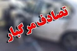لحظه عجیب و غریب تصادف عابر و 206 + فیلم