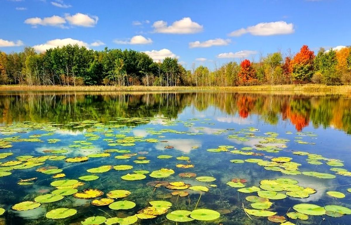 جاهای دیدنی بندرانزلی؛ تالاب انزلی
