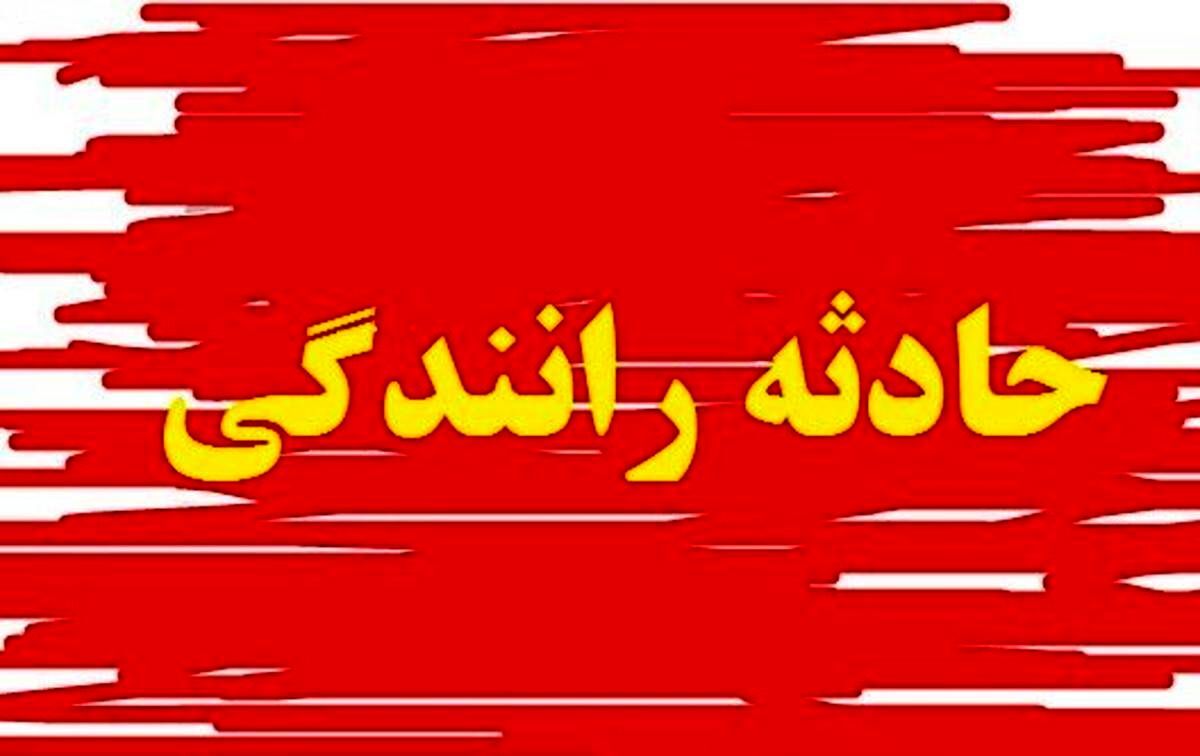 ببینید لحظه حادثه عجیب چپ کردن پژو ۲۰۶ در دل جنگل + فیلم