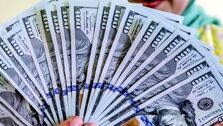 قیمت دلار کاهش عجیبی را تجربه کرد