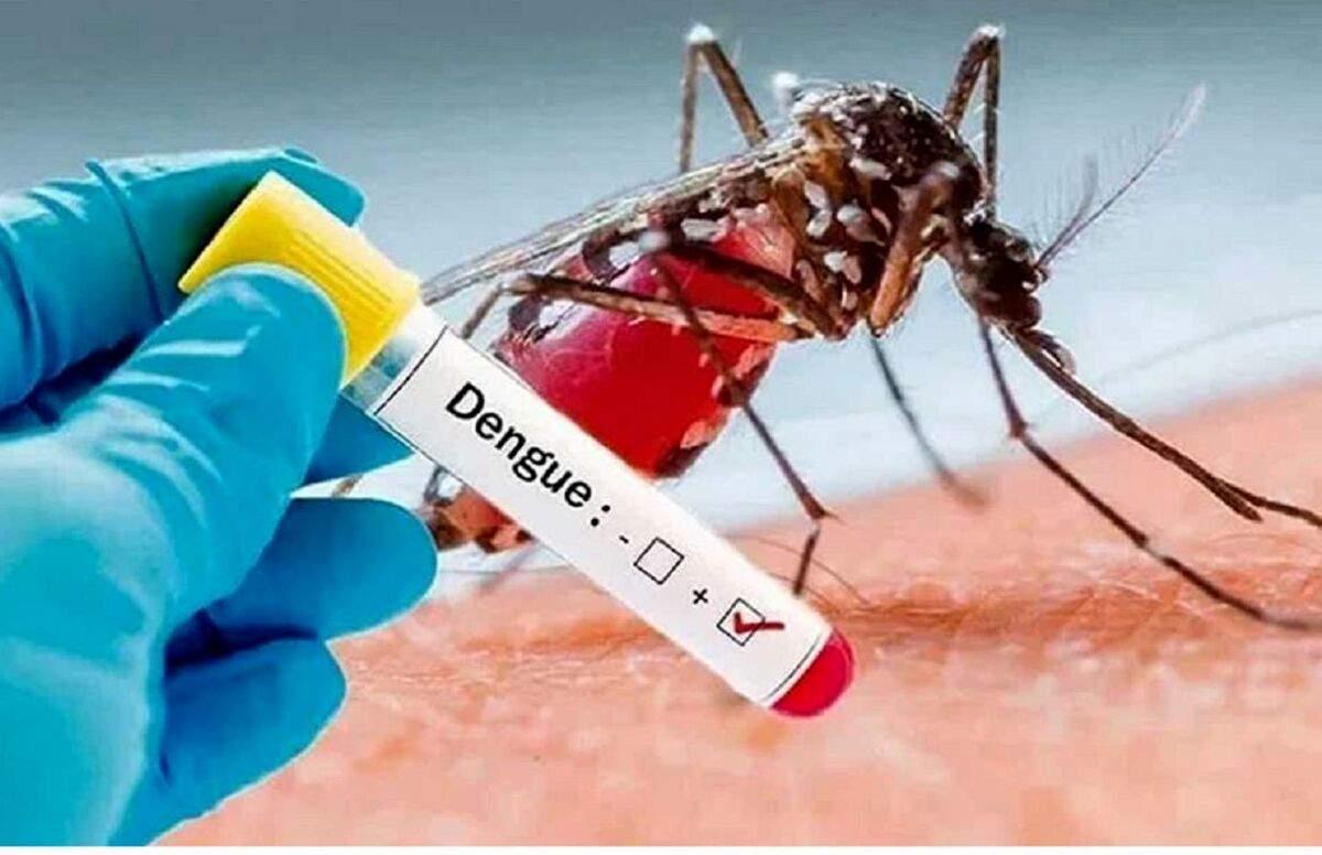آنچه باید از از پشه آئدس و بیماری تب دنگی بدانیم