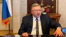 پیام توئیتری اولیانوف در آستانه مذاکرات وین