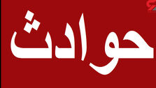 داستان باور نکردنی مرد وحشی که خانواده خود را قتل عام کرده و به افراد پیاده رو حمله کرد!